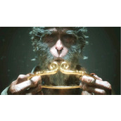 《黑神话悟空》绣花针克制角色介绍