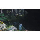 《黑神话悟空》赤髯龙入口介绍