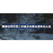 黑神话悟空第三回极乐谷罪业塔林怎么玩