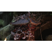 《黑神话悟空》缩地青符使用说明