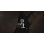 《黑神话悟空》虎头牌获取位置介绍