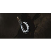 《黑神话悟空》卵中骨获取位置介绍