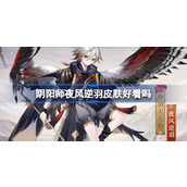 阴阳师夜风逆羽皮肤好看吗 阴阳师少羽大天狗夜风逆羽获取方法