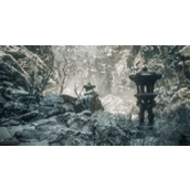 《黑神话悟空》毒统领掉落奖励说明