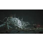 《黑神话悟空》茧圆卖了解决方法