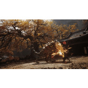 《黑神话悟空》一周目易错过收集要素介绍