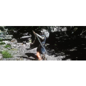 《黑神话：悟空》虫总兵具体位置介绍