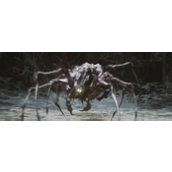 《黑神话：悟空》紫蛛儿具体位置介绍