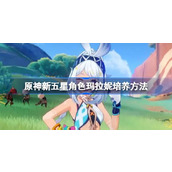 原神怎么培养新五星角色玛拉妮 原神新五星角色玛拉妮培养方法