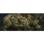 《黑神话：悟空》水木兽具体位置介绍