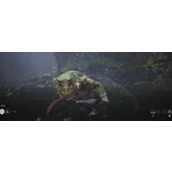 《黑神话：悟空》小活师用处介绍