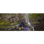 《黑神话：悟空》虚空结升级精魄推荐