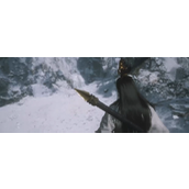 《黑神话：悟空》二郎神具体位置介绍