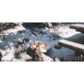 《黑神话：悟空》虚空结拿取地点介绍