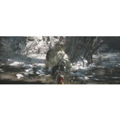 《黑神话：悟空》三冬虫数量介绍