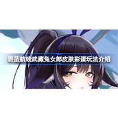 碧蓝航线武藏兔女郎皮肤彩蛋玩法介绍