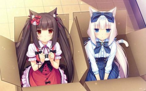 nekopara（巧克力与香子兰）