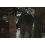 生化危机8第五关水库怪鱼通关图文攻略