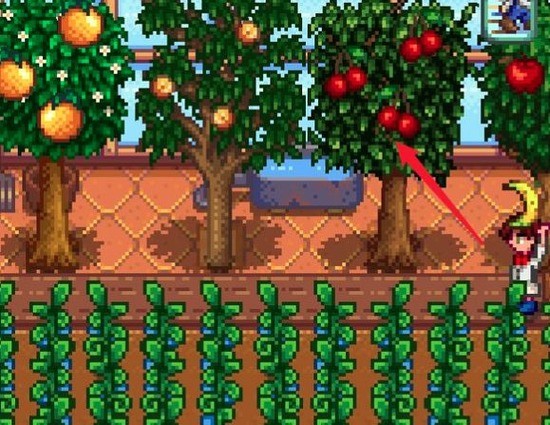 星露谷物语果酱制作攻略