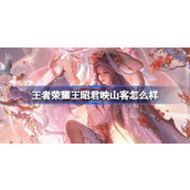 王者荣耀王昭君映山客怎么样