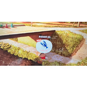 《蜡笔小新煤炭镇的小白》钓蓝色鳌虾位置