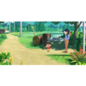 《蜡笔小新煤炭镇的小白》小花的三个问题答案