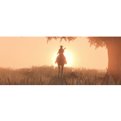 《荒野大镖客：救赎》一心多用成就攻略