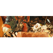 《怪物猎人：荒野》雌火龙信息介绍