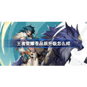 王者荣耀苍品质升级怎么样