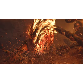 《怪物猎人荒野》轻弩可用弹药介绍