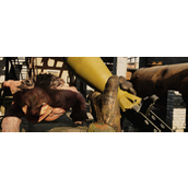 《潜行者2：切尔诺贝利之心》搜刮捡东西注意事项分享