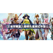 王者荣耀星之破晓先遣测试停服