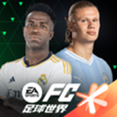 FIFA足球世界台服 安卓版v28.0.01