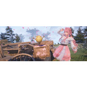 《无限暖暖》伙伴的合影留念完成方法