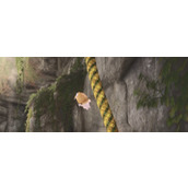 《无限暖暖》伙伴节任务流程攻略