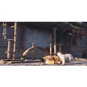 《燕云十六声》3050游玩介绍