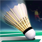 Real Badminton游戏 安卓版v1.07