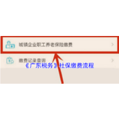 《广东税务》社保缴费流程