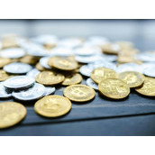 什么是Elastos ELA币