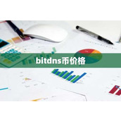 bitdns币价格