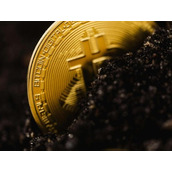 区块链高度查询 快速查询区块链高度的方法