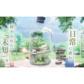 开放空间贝海姆世界书籍有哪些 贝海姆世界书籍汇总