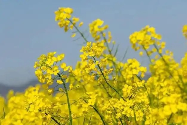 这恋爱谈的幽默又文艺