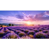 爆冷逗段,可以很开心哟