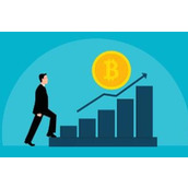 HMSTR币最新价格 HMSTR币今日行情 HMSTR币最新消息