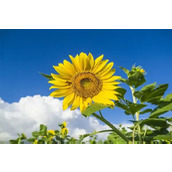 有个好的教练是多么的重要