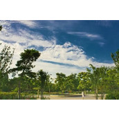 生活妙侃,发发牢骚吐吐槽