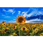 一波逗笑囧事飘过