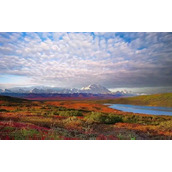 一波熊孩子,有一个挨揍啦!