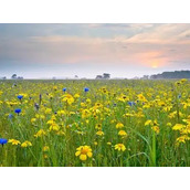 搞笑才子都在学校呢